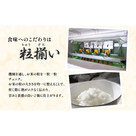 ふるさと納税 玄米 10kg にじのきらめき 令和7年産 茨城県下妻市
