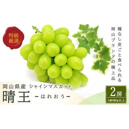 ふるさと納税 シャインマスカット 晴王 2房 (1房480g以上) 化粧箱入り [2026年8月下旬〜11月上旬迄発送予定]/ マスカット 葡萄 ぶどう 果物.. 岡山県美咲町