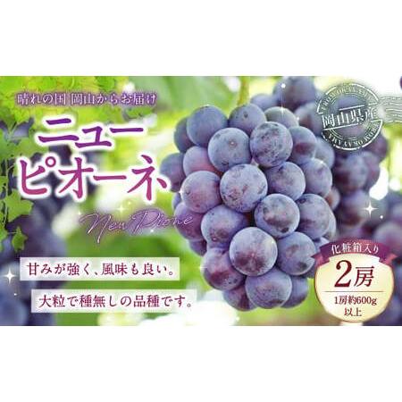 ふるさと納税 岡山県産 ニューピオーネ 2房 (1房600g以上) 化粧箱入り [2026年8月下旬-10月上旬迄発送予定] / 葡萄 ぶどう 果物 果実 フル.. 岡山県美咲町