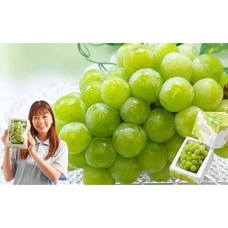 ふるさと納税 マスカット・オブ・アレキサンドリア (700g以上・秀品以上) 1房 化粧箱入り[2026年7月上旬〜8月上旬迄発送予定] / マスカット.. 岡山県美咲町