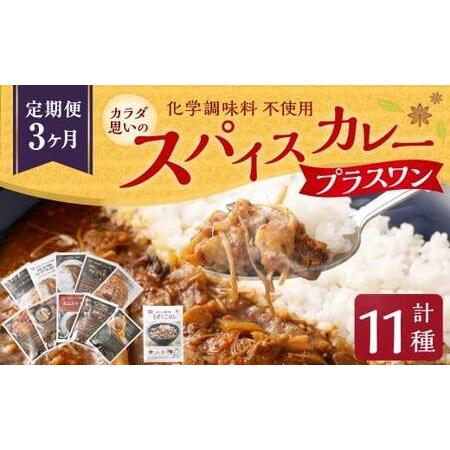ふるさと納税 カラダ想いのスパイスカレープラスワン(カレー4種×2回、カレー2種ときのこご飯の素1種2袋×1回)毎月[3回定期便] き.. 北海道愛別町
