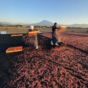 ふるさと納税 桜えび２種、しらす２種セット【配送不可：離島】 静岡県静岡市_1