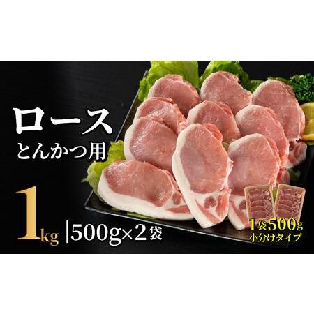 ふるさと納税 長崎県産豚 ロースとんかつ用計1kg (100g×5枚×2) 長崎県佐世保市