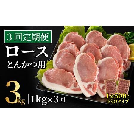 ふるさと納税 [定期便]長崎県産豚 ロースとんかつ用計1kg(100g×5枚×2) [3回お届け] 長崎県佐世保市