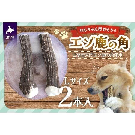 ふるさと納税 エゾ鹿の角 Lサイズ×2本セット(1本物)[54-1533] 北海道浦河町