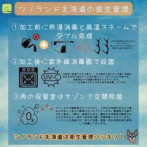 ふるさと納税 エゾ鹿の角 Lサイズ×2本セット(1本物)[54-1533] 北海道浦河町_2