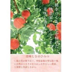 ふるさと納税 【2026年7月発送開始】桃の産地山梨からお届け ピーチ専科ヤマシタの桃 1kg【配送不可地域：離島】【1707808】 山梨県山梨市の画像
