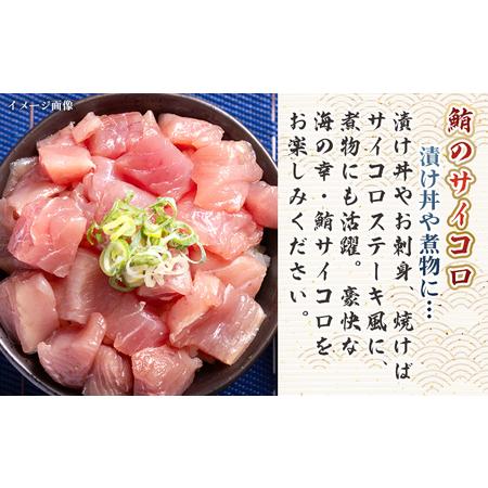 ふるさと納税 【3回定期便】まぐろ さいころサイズ(150ｇで2〜3人前) 150g×8袋 - 定期便 国産 海鮮丼 漬け丼 煮物 鮪 マグロ カット済み 角.. 高知県香南市の画像
