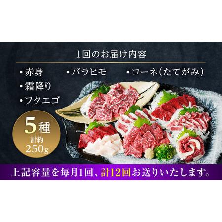 ふるさと納税 【全12回定期便】5種の馬刺し 盛り合わせセット 5人前 約250g 馬刺し 定期便[AYAT034] 熊本県合志市の画像