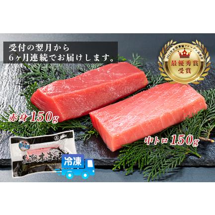 ふるさと納税 まぐろ マグロ 本鮪 黒潮本まぐろ 中トロ 赤身 定期便 6回 計300g × 6回 刺身 柵 冷凍 高知県大月町の画像