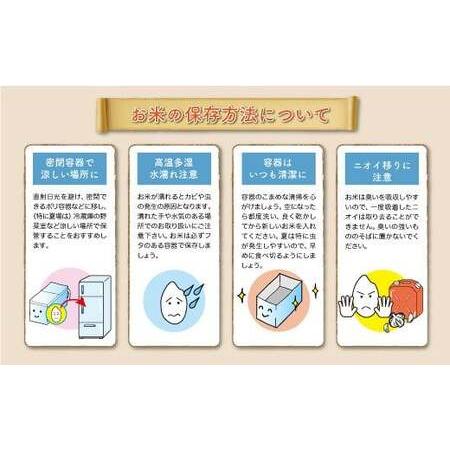 ふるさと納税 ＜数量限定＞ 令和7年産 雪若丸 【白米】 20kg （5kg×4袋） 山形県真室川町　◆NR7Y20M-H9999 山形県真室川町_1