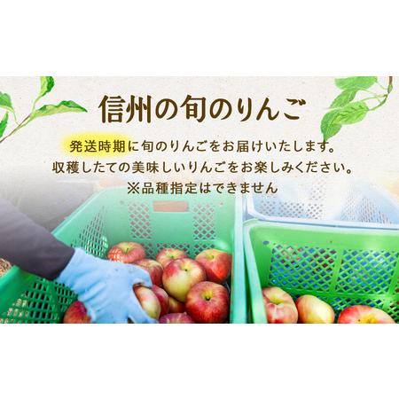りんご様 ふるさと納税 【2025年/令和7年度発送分 】信州の旬のりんご おまかせ
