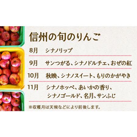 ふるさと納税 【2025年/令和7年度発送分 】信州の旬のりんご おまかせ