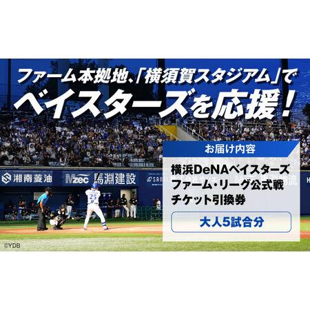 ふるさと納税 横浜DeNAベイスターズ ファーム・リーグ公式戦チケット 引換券 大人5試合分【株式会社横浜DeNAベイスターズ】[AKIF005] 神奈川県横須賀市の画像