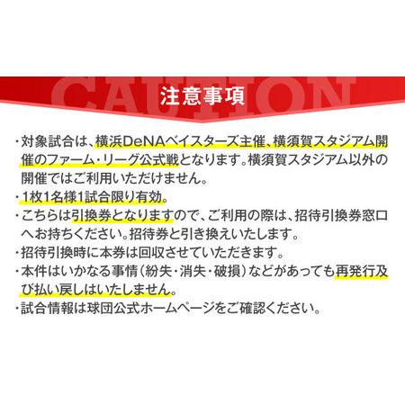 ふるさと納税 横浜DeNAベイスターズ ファーム・リーグ公式戦チケット 引換券 大人5試合分【株式会社横浜DeNAベイスターズ】[AKIF005] 神奈川県横須賀市の画像