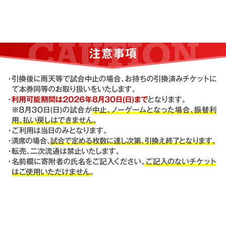 ふるさと納税 横浜DeNAベイスターズ ファーム・リーグ公式戦チケット 引換券 大人5試合分【株式会社横浜DeNAベイスターズ】[AKIF005] 神奈川県横須賀市の画像
