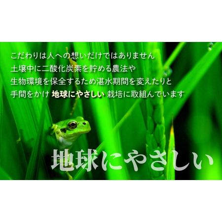 ふるさと納税 【令和7年産】こしひかり 20kg【玄米】減農薬・減化学肥料 「特別栽培米」−地球にやさしいお米−[E-003004] 福井県大野市_3