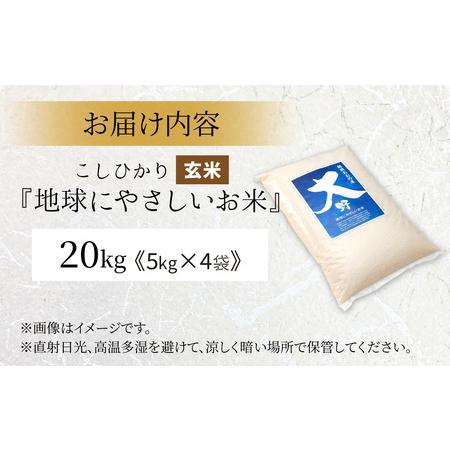 ふるさと納税 【令和7年産】こしひかり 20kg【玄米】減農薬・減化学肥料 「特別栽培米」−地球にやさしいお米−[E-003004] 福井県大野市_4