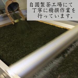 ふるさと納税 ＜数量限定＞宇治茶 玉露「玉誉」・煎茶「手づみ」詰合せ(220g×各1缶) 京都府 宇治市 京都 宇治 お茶 茶葉 煎茶 玉露 お土産 .. 京都府宇治市