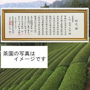 ふるさと納税 ＜数量限定＞宇治茶 玉露「玉誉」・煎茶「手づみ」詰合せ(220g×各1缶) 京都府 宇治市 京都 宇治 お茶 茶葉 煎茶 玉露 お土産 .. 京都府宇治市
