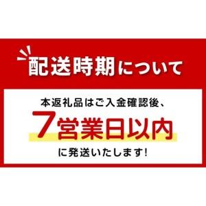 ふるさと納税 《7営業日以内に発送》北見ドライオニオン\u0026バラエティセット ( 玉ねぎ たまねぎ オニオン カレー レトルト 調味料 うどん ギフ.. 北海道北見市の画像