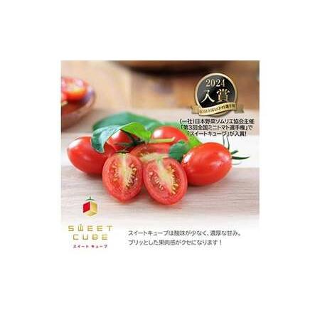 ふるさと納税 高糖度 プレミアムミニトマト スイートキューブ 1kg ≪2026年1月頃?6月発送予定≫ さかほぎ農場 岐阜県 坂祝町 さかほぎ F6M-009 岐阜県坂祝町_1
