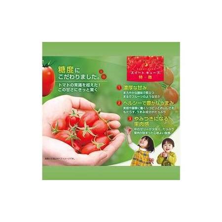 ふるさと納税 高糖度 プレミアムミニトマト スイートキューブ 1kg ≪2026年1月頃?6月発送予定≫ さかほぎ農場 岐阜県 坂祝町 さかほぎ F6M-009 岐阜県坂祝町_2