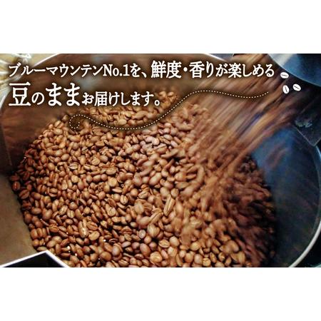 ふるさと納税 【3回定期便】 コーヒー豆 ブルーマウンテン 100g 2パック [珈琲Chiba 福岡県 筑紫野市 21761425] 福岡県筑紫野市_2