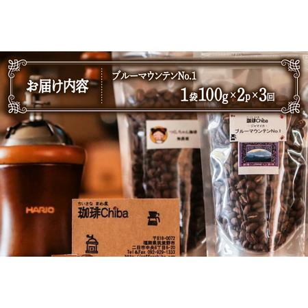 ふるさと納税 【3回定期便】 コーヒー豆 ブルーマウンテン 100g 2パック [珈琲Chiba 福岡県 筑紫野市 21761425] 福岡県筑紫野市_3