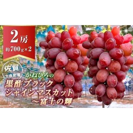 ふるさと納税 かねひろの黒酢ブラックシャインマスカット〜富士の輝き (計2房/約700g以上) [2026年9月中に順次発送予定] ブラックシャイン.. 佐賀県太良町