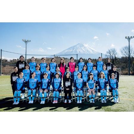 ふるさと納税 なるシカくんぬいぐるみ（FCふじざくらバージョン）NSJ047 山梨県鳴沢村の画像