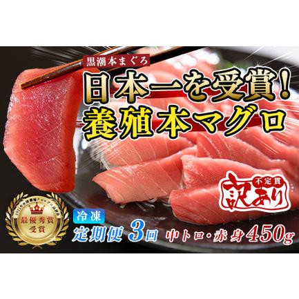 ふるさと納税 訳あり まぐろ マグロ 本鮪 黒潮本まぐろ 赤身 中トロ 定期便 3回 計450g × 3回 刺身 さしみ 最優秀賞 全国養殖クロマグロ品.. 高知県大月町