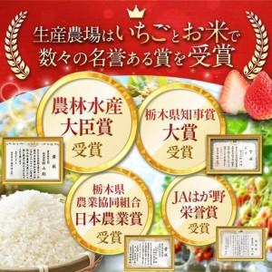 ふるさと納税 【定期便6回】栃木県産 こしひかり 玄米 5kg 2026年 先行予約 | 栃木県 矢板市 栃木県矢板市