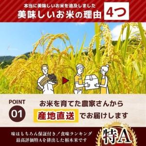 ふるさと納税 【定期便6回】栃木県産 こしひかり 玄米 5kg 2026年 先行予約 | 栃木県 矢板市 栃木県矢板市