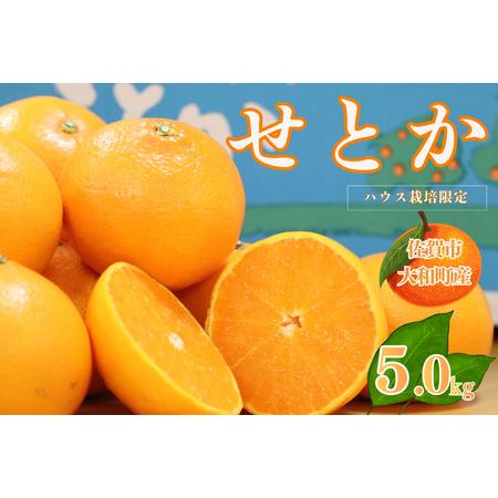 ふるさと納税 [1月中旬〜2月下旬発送]佐賀市大和町産みかん「せとか」:B150-077 佐賀県佐賀市