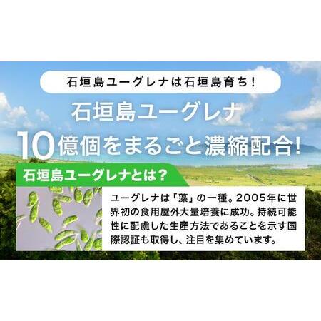ふるさと納税 【定期便】《3ヶ月》からだにユーグレナ グリーンスムージー乳酸菌 195g×15本×3回 沖縄県石垣市の画像