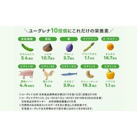 ふるさと納税 【定期便】《3ヶ月》からだにユーグレナ グリーンスムージー乳酸菌 195g×15本×3回 沖縄県石垣市の画像