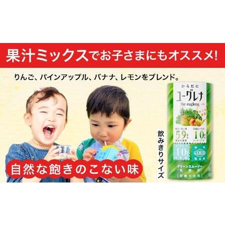 ふるさと納税 【定期便】《3ヶ月》からだにユーグレナ グリーンスムージー乳酸菌 195g×15本×3回 沖縄県石垣市の画像