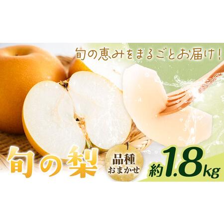 ふるさと納税 [先行予約]旬の梨 品種おまかせ 約1.8kg 日本フルーツ株式会社[2026年8月上旬-10月上旬頃出荷]熊本県 菊池市 梨 なし 豊水 秋.. 熊本県菊池市