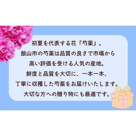 ふるさと納税 芍薬 切花 ?華燭の典? 24本セット【2026年5月上旬より出荷】(Ca-002)  長野県飯山市の画像