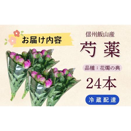 ふるさと納税 芍薬 切花 ?華燭の典? 24本セット【2026年5月上旬より出荷】(Ca-002)  長野県飯山市の画像