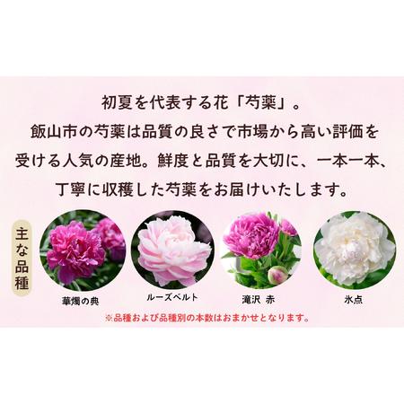 ふるさと納税 芍薬 切花 おまかせ2?3品種 20本セット【2026年5月上旬より出荷】(Ca-001) 長野県飯山市の画像