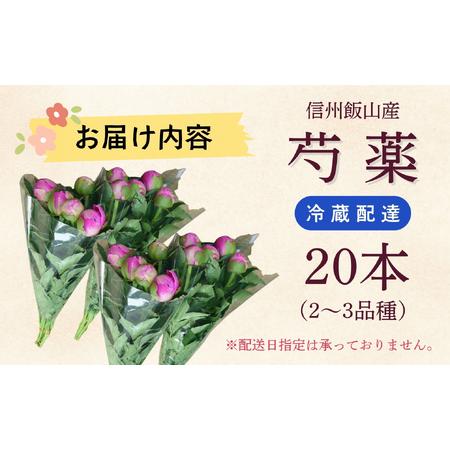 ふるさと納税 芍薬 切花 おまかせ2?3品種 20本セット【2026年5月上旬より出荷】(Ca-001) 長野県飯山市の画像
