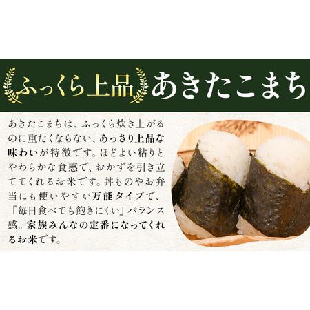 ふるさと納税 米 あきたこまち 白米 茨城 ふるさと米 20kg《1-5日以内に出荷予定(土日祝除く)》 茨城県 結城市 米 国産 お米 おこめ お弁当 おに.. 茨城県結城市_1