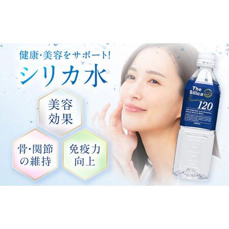 ふるさと納税 【全3回定期便】【2ヵ月に1回お届け】霧島シリカ温泉水 The Silica Premium120 （ザシリカプレミアム） 500ml 24本 ミネラルウォー.. 大阪府高槻市の画像