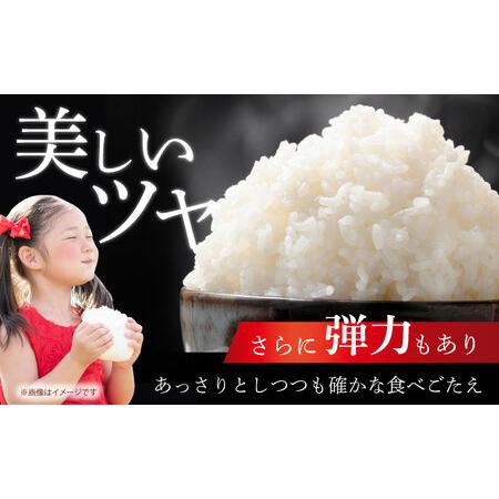 ふるさと納税 【全3回定期便】 ヒノヒカリ 白米 10kg 【有限会社江北商会】[HDK002] 佐賀県江北町の画像