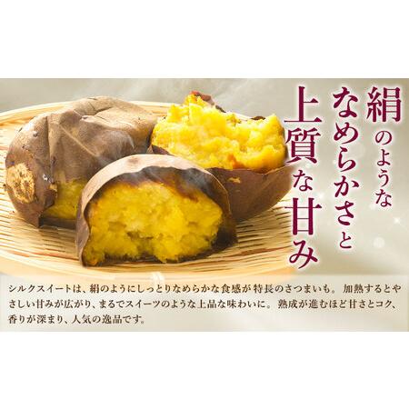 ふるさと納税 【先行予約】シルクスイート さつまいも 約5kg 日本フルーツ株式会社《2026年11月上旬-12月中旬頃出荷》熊本県 菊池市 さつまいも .. 熊本県菊池市の画像