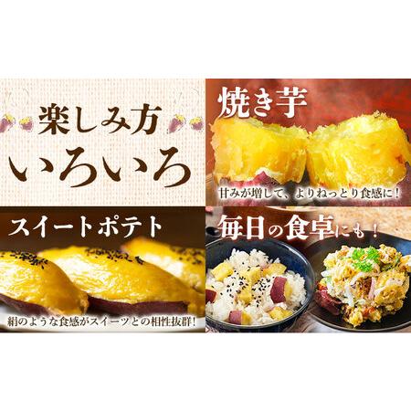 ふるさと納税 【先行予約】シルクスイート さつまいも 約5kg 日本フルーツ株式会社《2026年11月上旬-12月中旬頃出荷》熊本県 菊池市 さつまいも .. 熊本県菊池市の画像