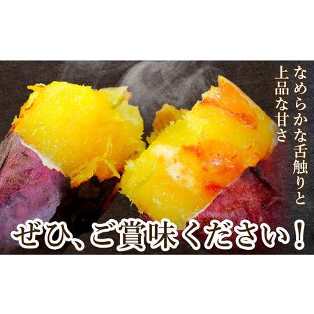 ふるさと納税 【先行予約】シルクスイート さつまいも 約5kg 日本フルーツ株式会社《2026年11月上旬-12月中旬頃出荷》熊本県 菊池市 さつまいも .. 熊本県菊池市の画像