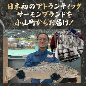 ふるさと納税 スモークサーモン・グラブラックス 約100g×4P 国産サーモン 静岡県小山町_2